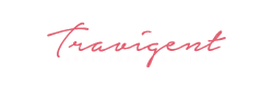 light logo